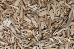 biomass boilers Buriton